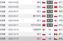 华体会国米赞助商-波兰逆转瑞典，欧预赛排名小组第二