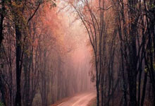 华体会APP-西决生死战焦点战，澳大利亚式坚韧，稳稳拿下巴萨式华丽