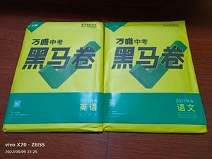 黑马球队逆袭成功，一路拔得头筹引发全球热议