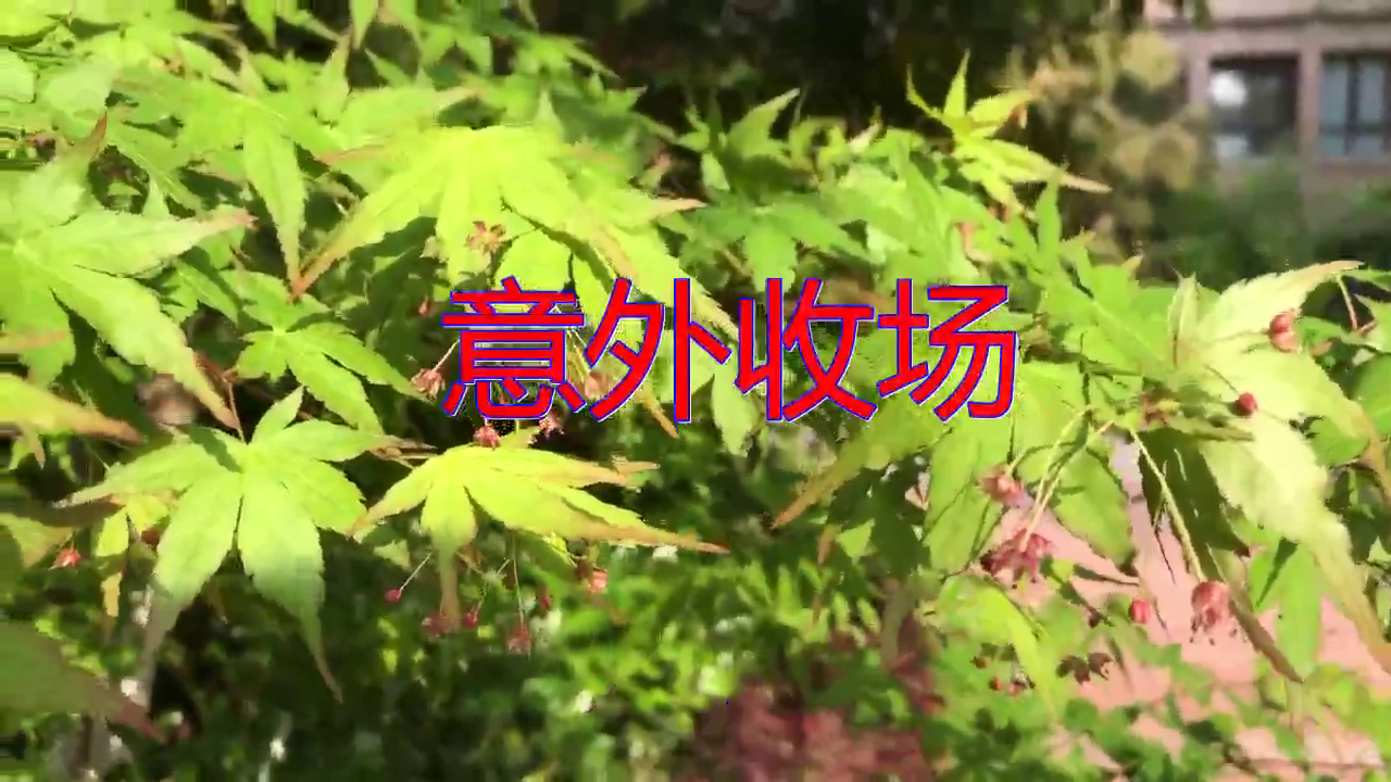 鬼鬼祟祟的比赛走了个排列组合,造成意外收场 鬼鬼祟祟的比赛走了个排列组合,造成意外收场